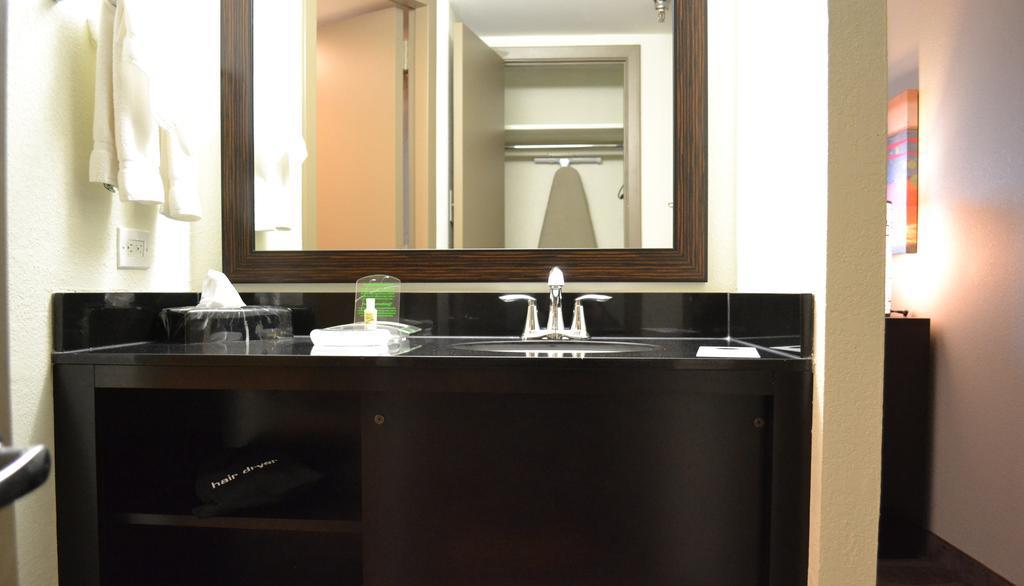 Holiday Inn Houston S - Nrg Area - Med Ctr By Ihg Quarto foto